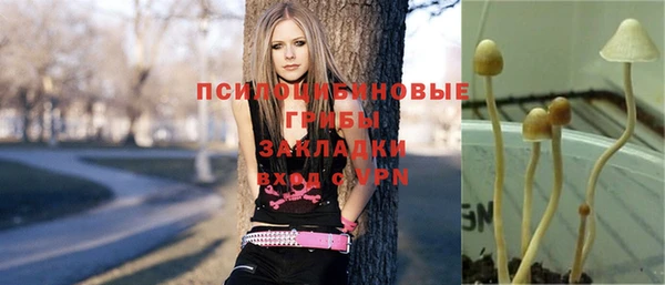 кристаллы Новозыбков