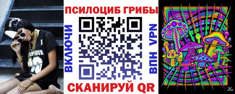 omg вход  Цоци-Юрт  Псилоцибиновые грибы GOLDEN TEACHER 